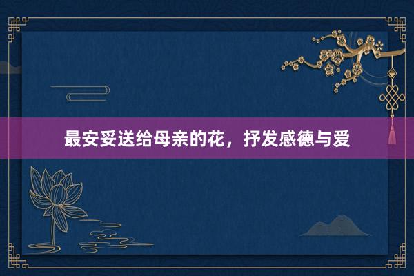 最安妥送给母亲的花，抒发感德与爱
